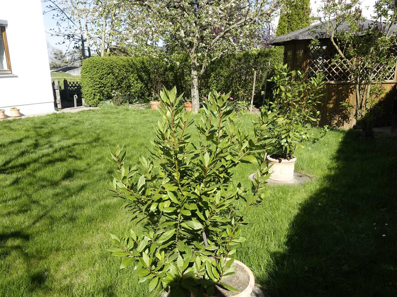 Moderne Ferienwohnung für 5 Personen | Tannheim im Allgäu